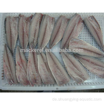 Neue Saison Frozen Pacific Makrele Filet Fisch